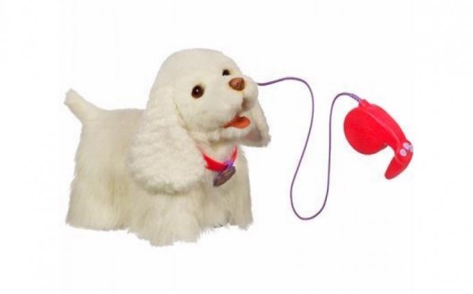 Interactive Toy Go Go