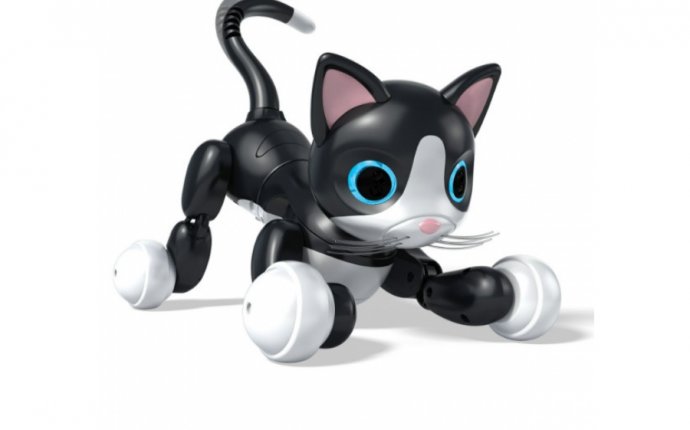 Robot Interactive Toy