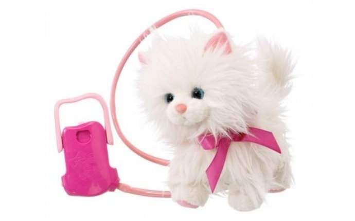 Interactive Cat Toy On Leash