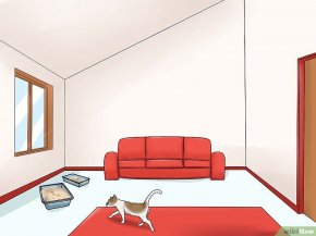 Изображение с названием Encourage Your Cat to Go to Sleep Step 3