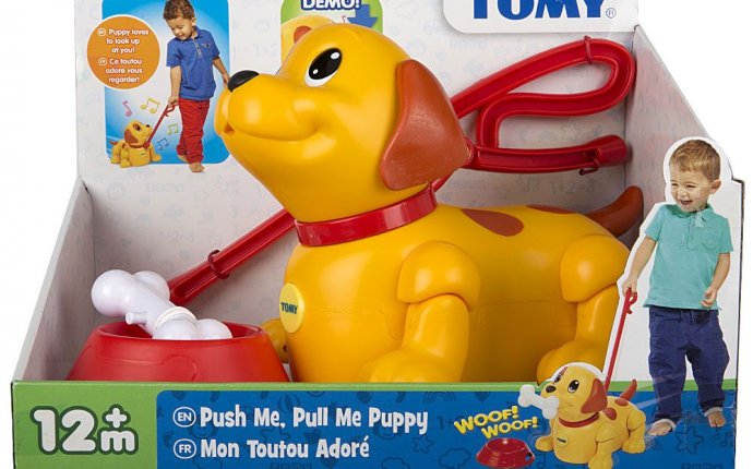 Interactive Toy Of Fun Puppy Pax