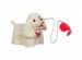 Interactive Toy Go Go