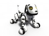 The Most Interactive Toys - Interactive toys