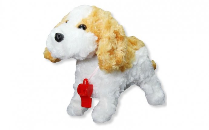 Max, Get Me A Developing Interactive Toy